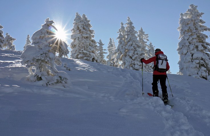 Aufstieg mit dem Splitboard am Feldalpenhorn