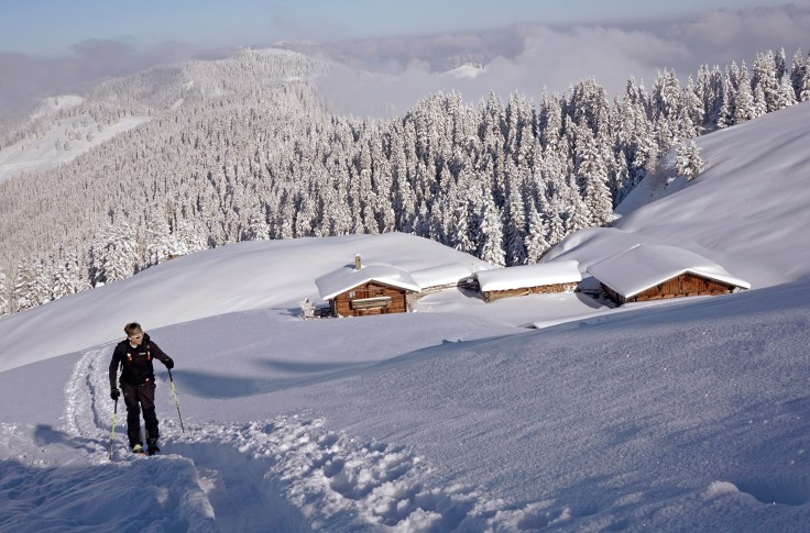 Splitboard Aufstieg am Feldalpenhor