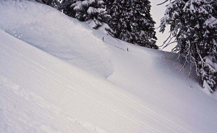 Powderabfahrt mit dem Splitboard